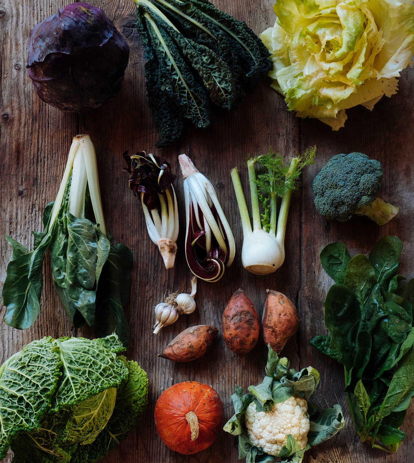 Progetto sostenibile - Gustificio